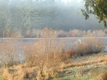 mckenzlake2.jpg