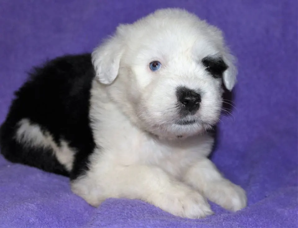 Bea at just a few weeks old.